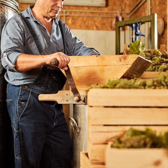 ercole-trituracion-prensado